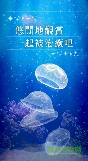 海蜇養成 海蜇養成