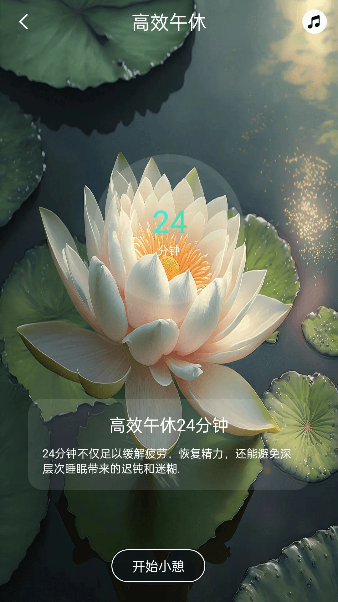 功德木鱼