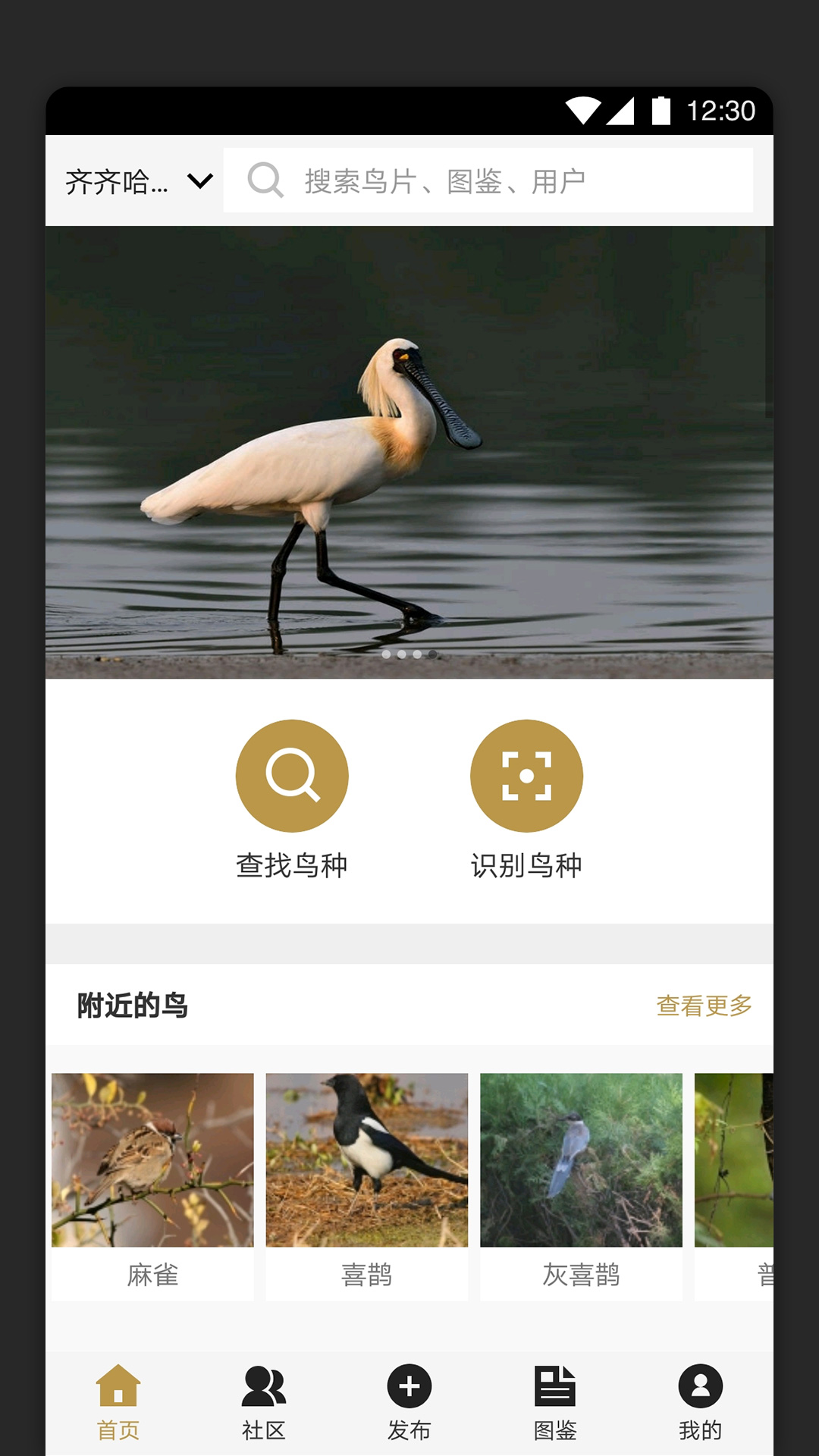 识鸟