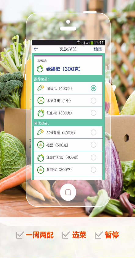 五百家 五百家