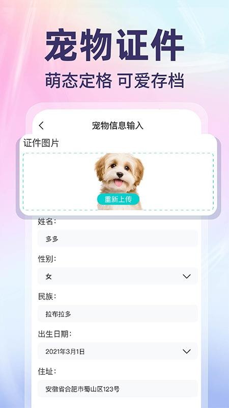 网络电子证件 网络电子证件