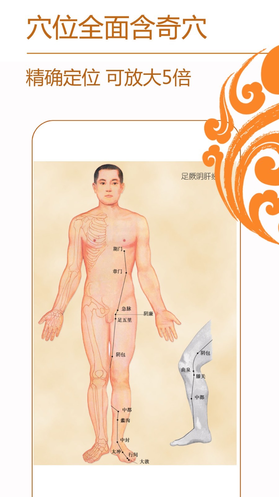 经络养生 经络养生