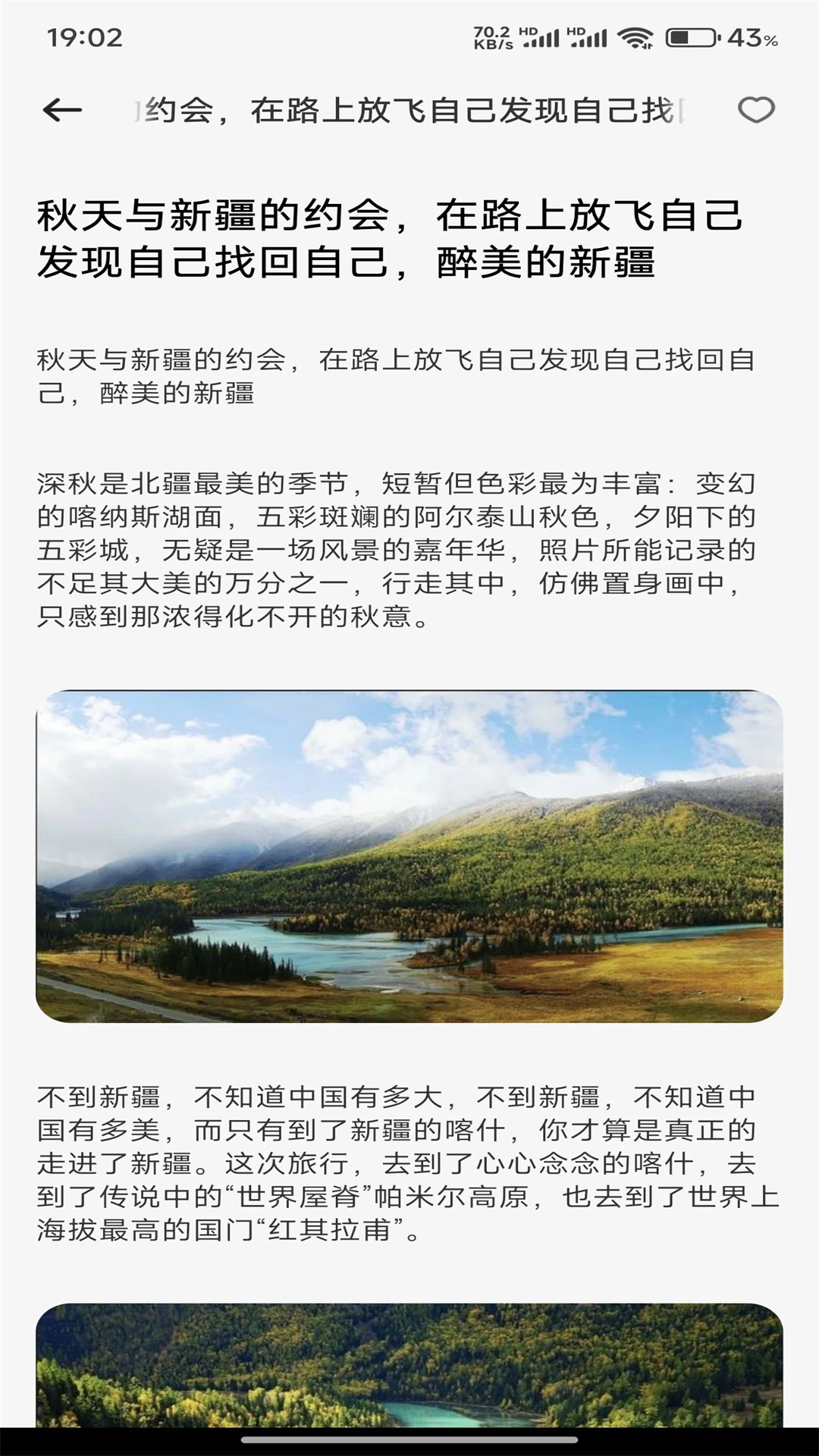 心语静静树洞