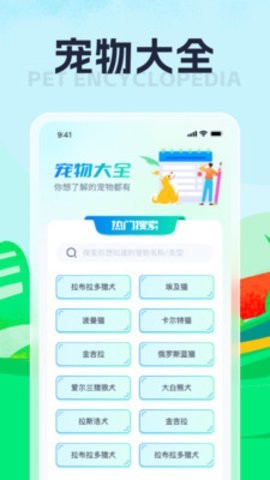 猴哥爱刷