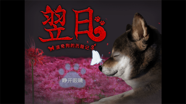 翌日-波奇狗的历险记- 翌日-波奇狗的历险记-
