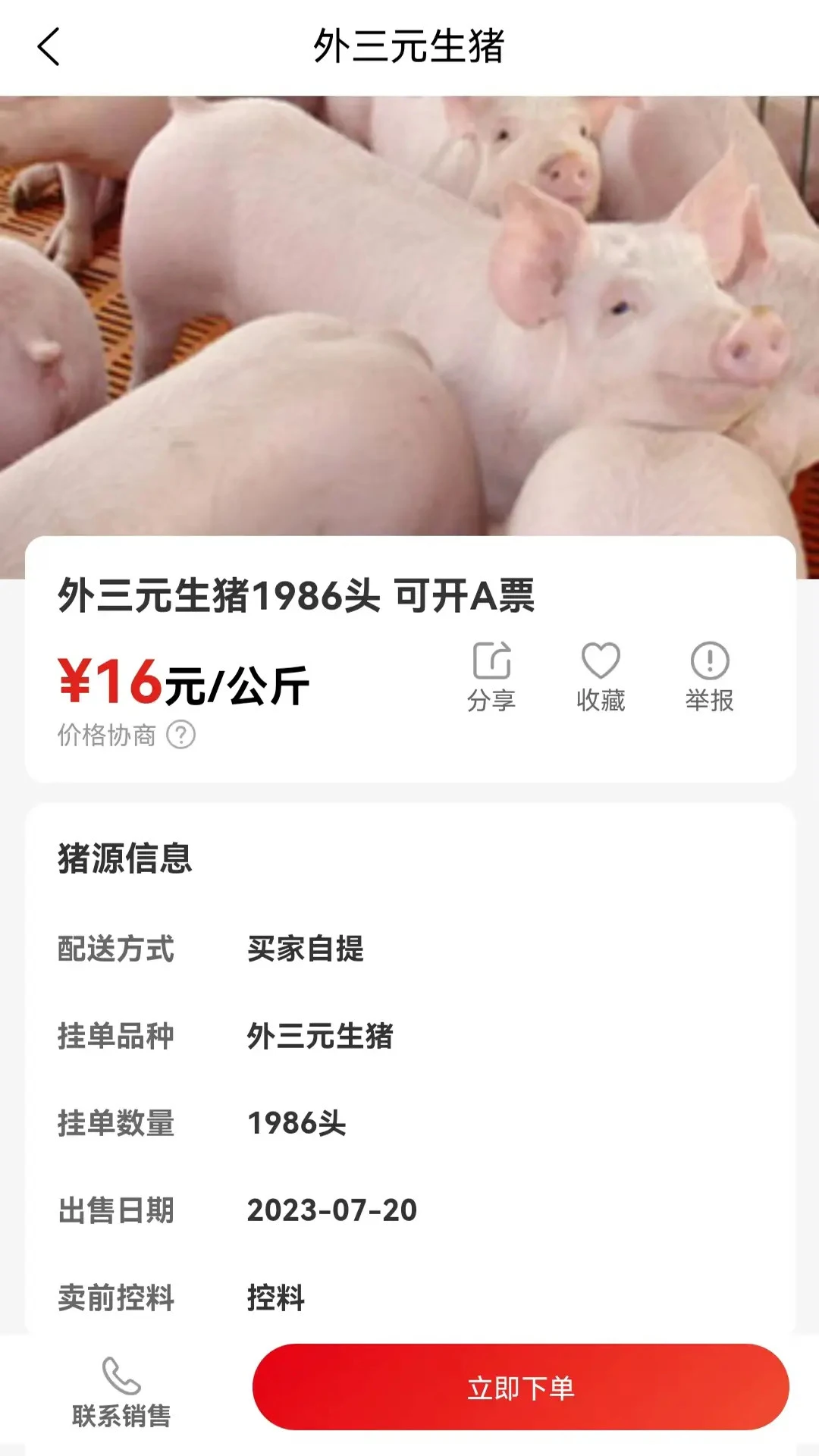 国家生猪市场 国家生猪市场