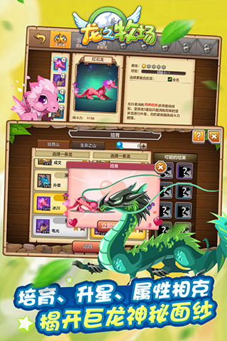 育龙高手 育龙高手