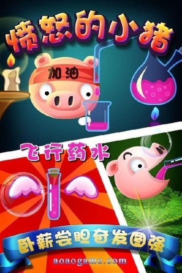 愤怒的小猪正版下载