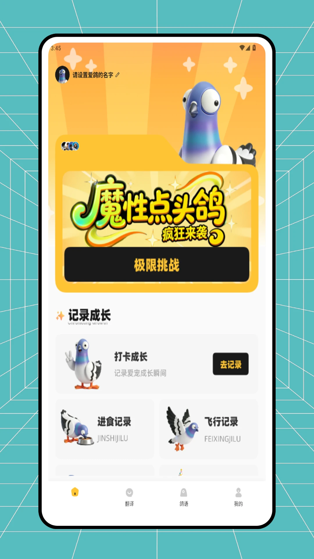 神奇的鸽子