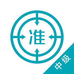中级审计师