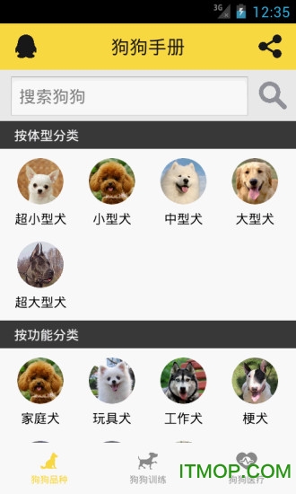 宠物狗狗助手 宠物狗狗助手