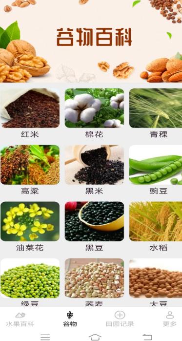 掌上果果多