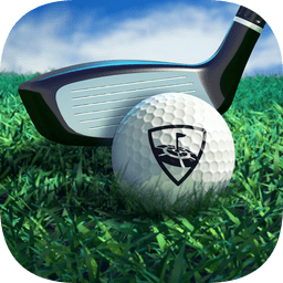 wgt golf中文版