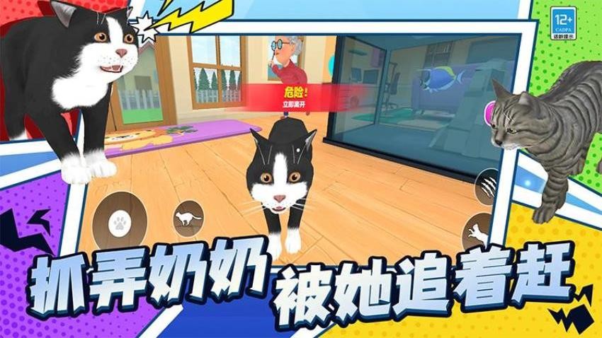 喵星人日常