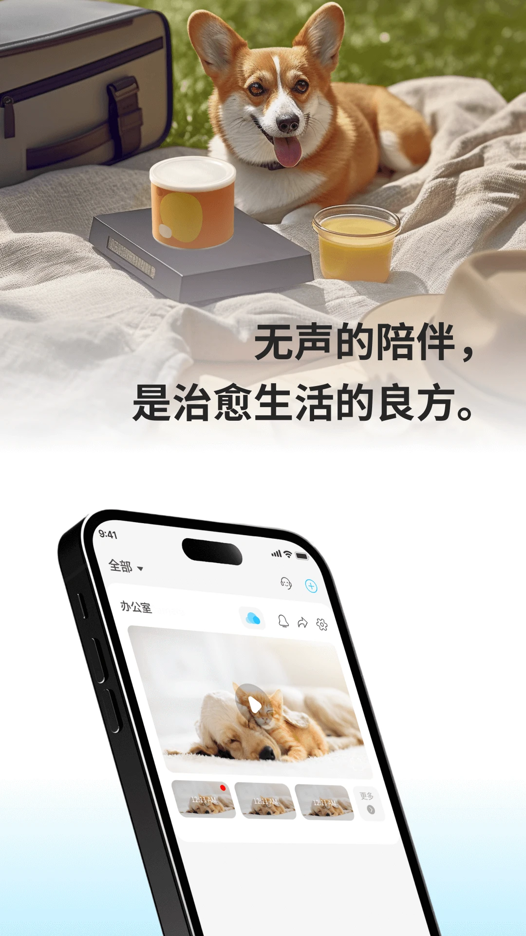 硅基智联