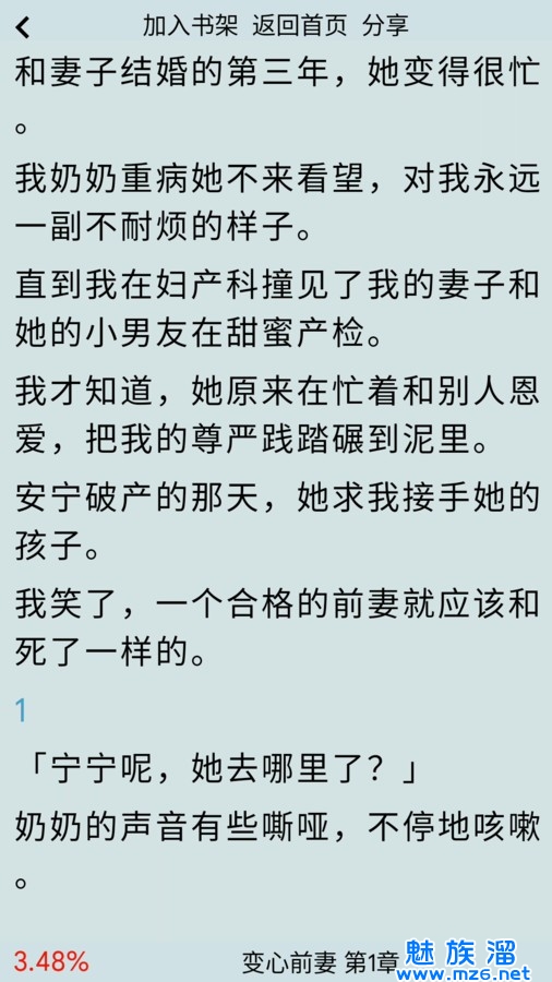 一粒小说