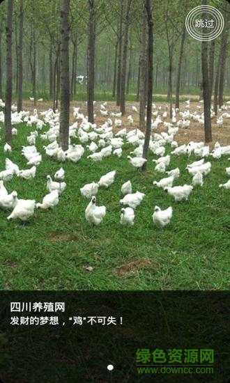 四川养殖网 四川养殖网