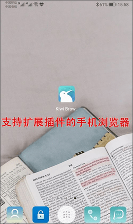 kiwi浏览器中文修正版