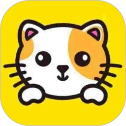 爱旅行的小猫