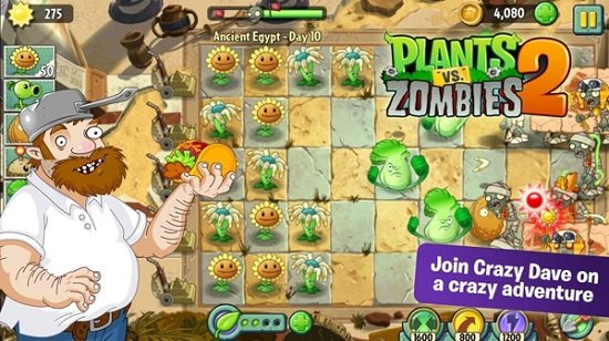 植物大战僵尸真人版