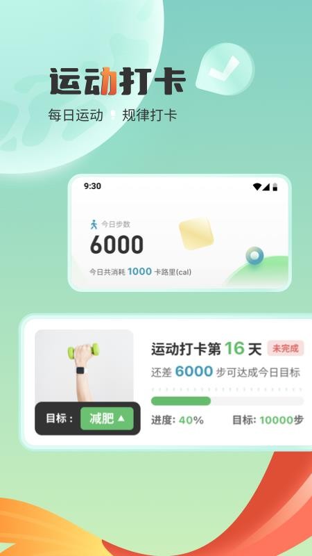 锦鲤计步