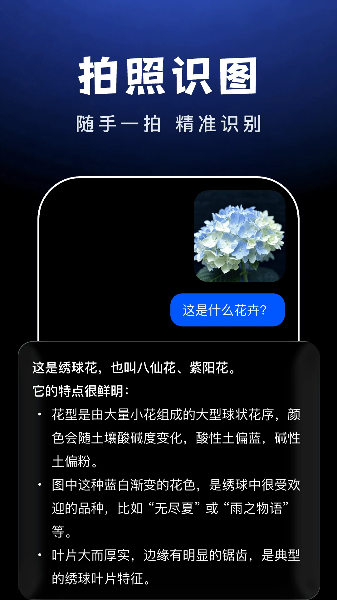 AI Agent助手