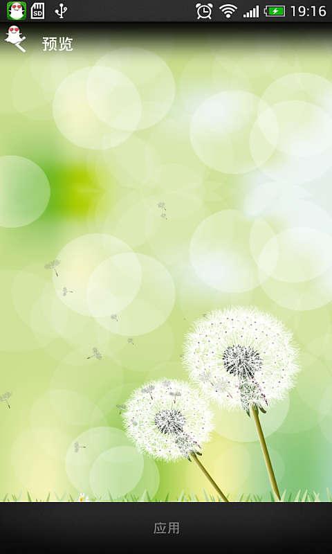 蒲公英动态壁纸 蒲公英动态壁纸