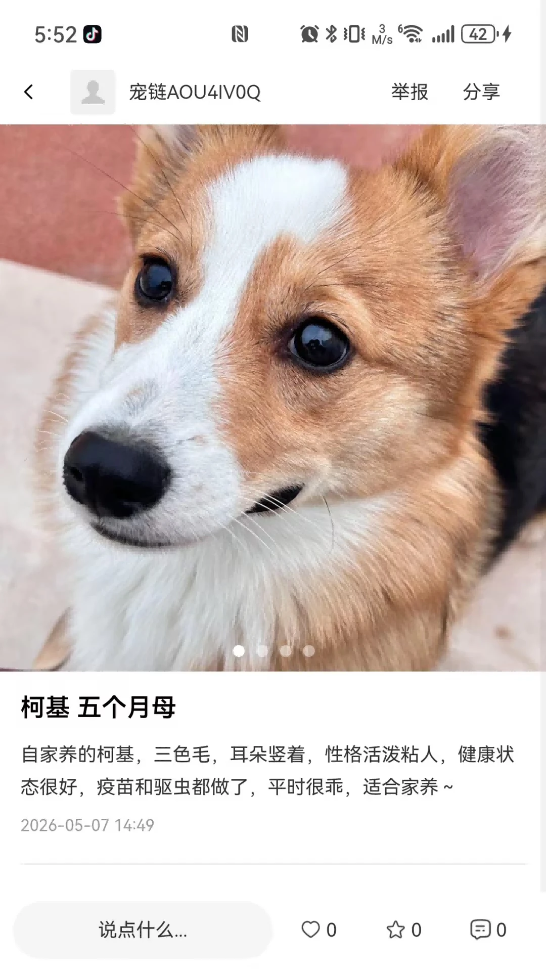 宠链