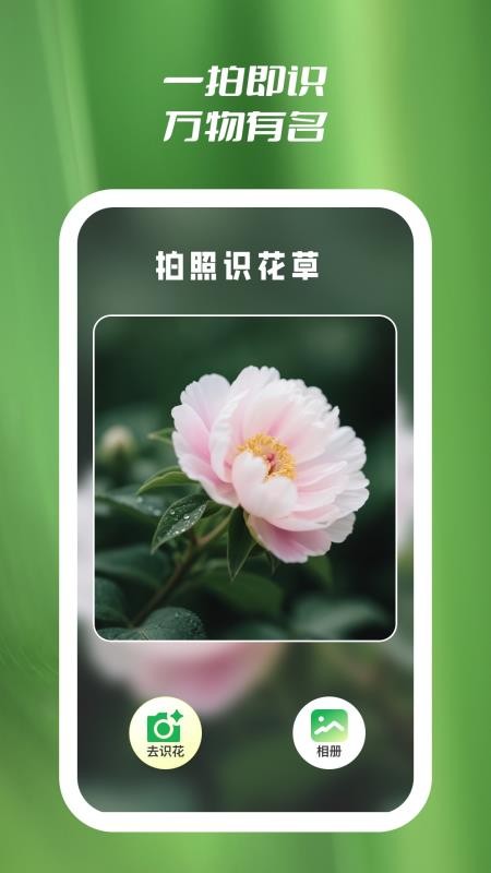 花知道 花知道