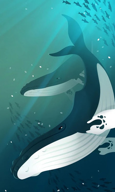 深海水族馆正版 深海水族馆正版