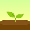 Forest 安卓版v4.81.0