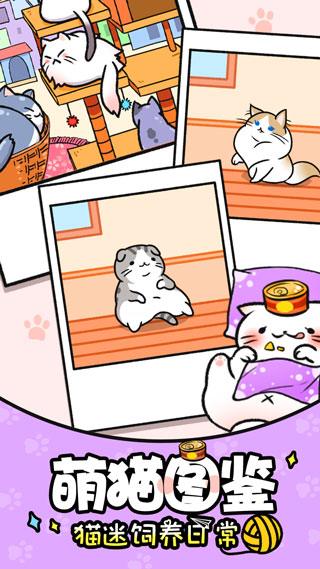 猫咪公寓 猫咪公寓
