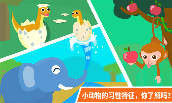 动物乐园 动物乐园