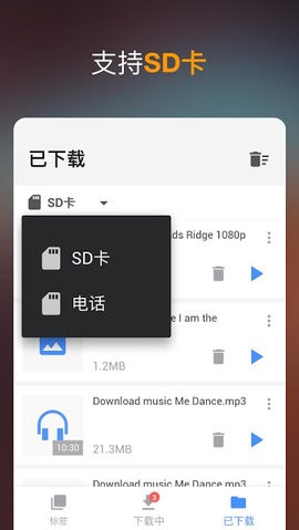 Video Downloader下载器