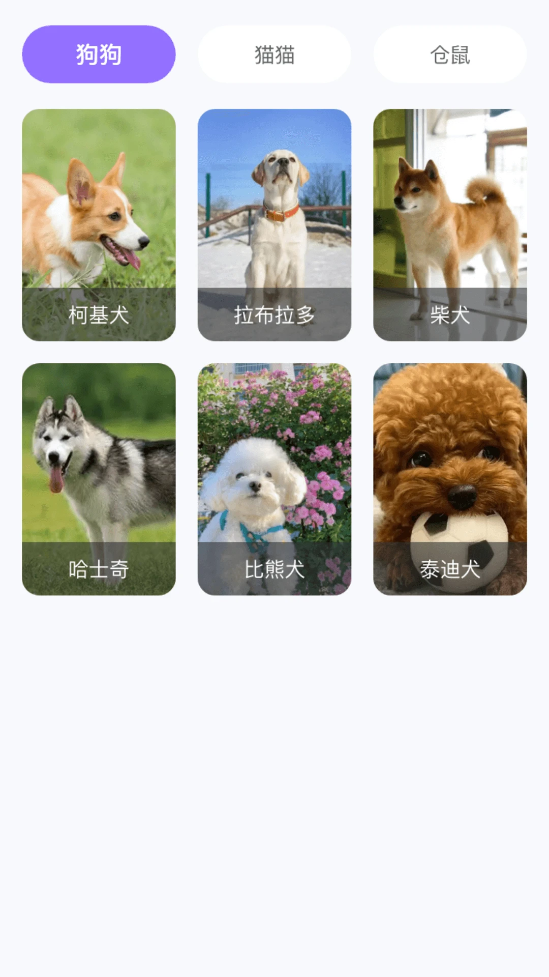楚楚可连