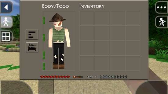 Survivalcraft 2+
