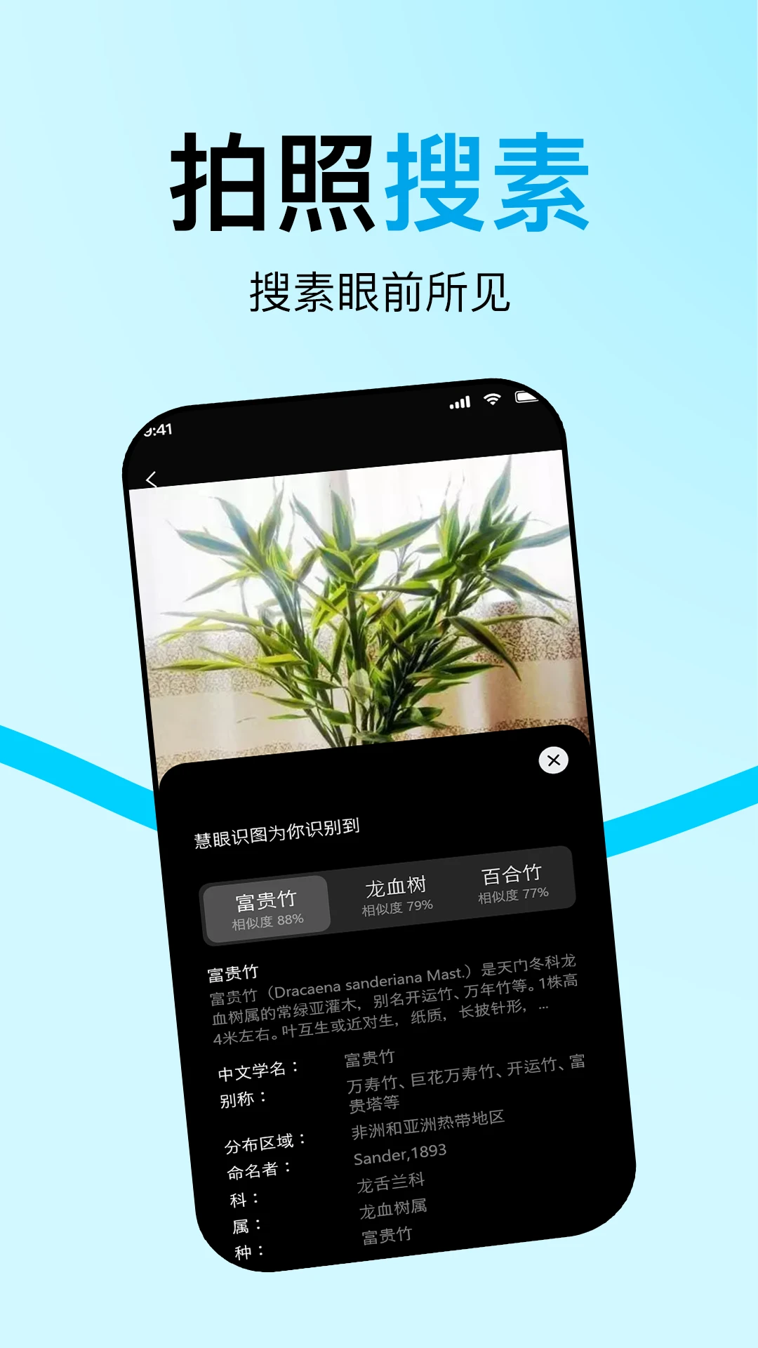 L豆豆浏览器