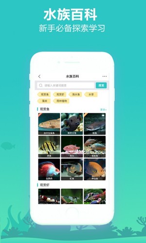 泡泡水族论坛 安卓版v2.1.12