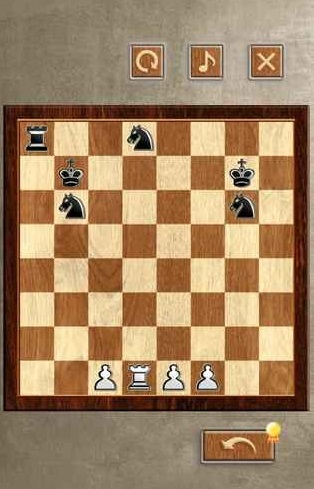 国际象棋大师11 国际象棋大师11