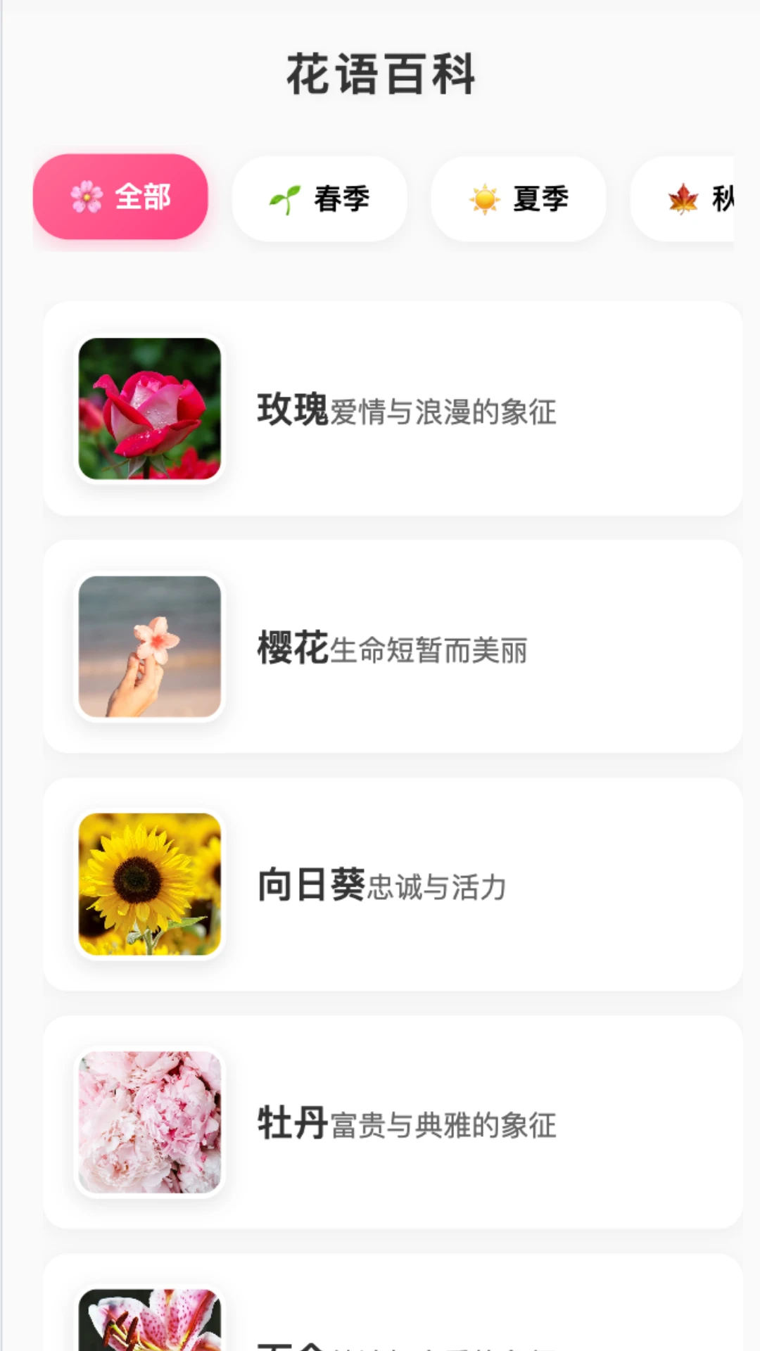 花语缤纷 花语缤纷