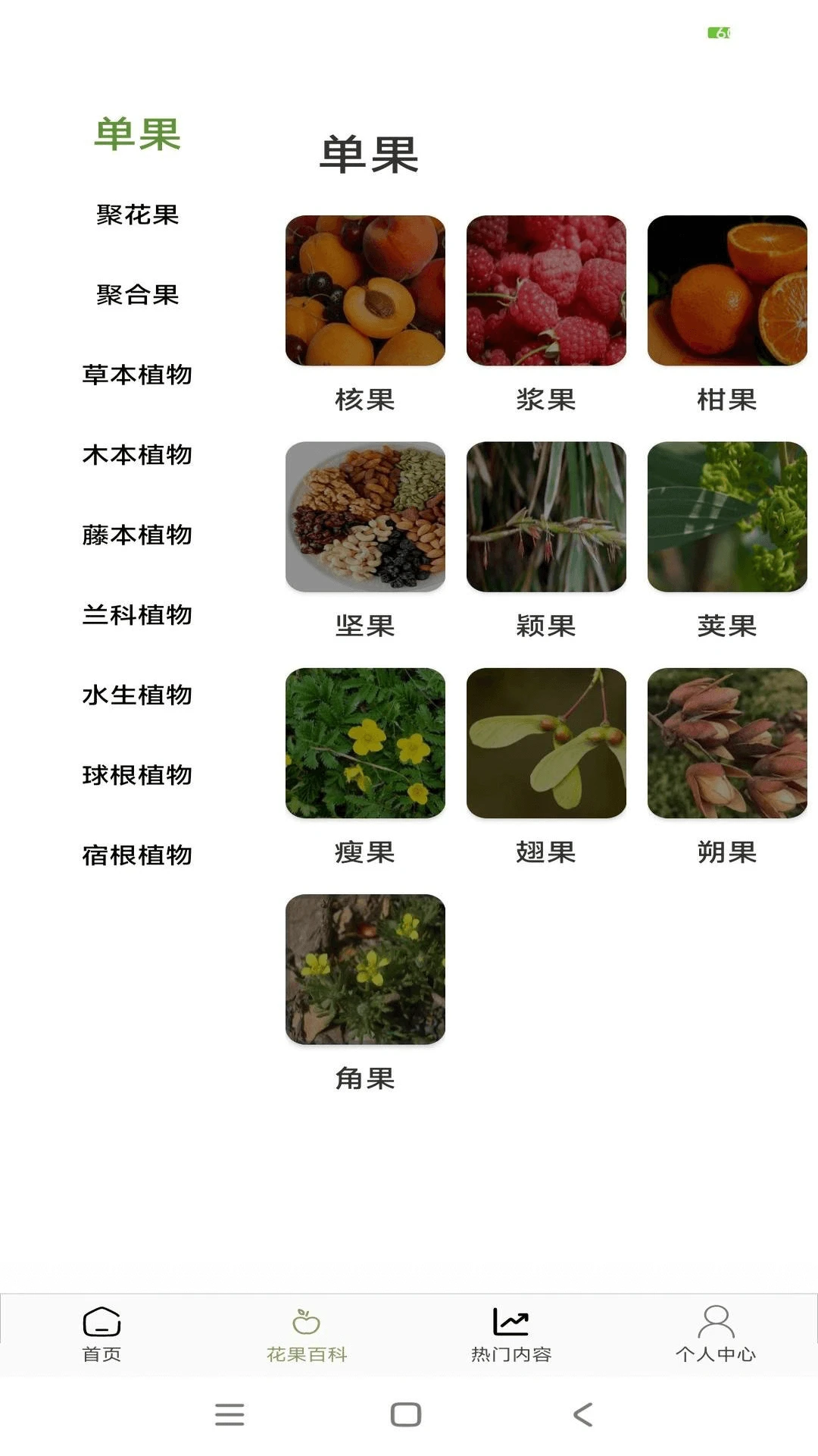 花果管家