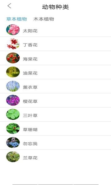 植物品鉴
