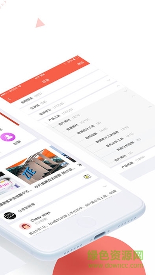 金桐