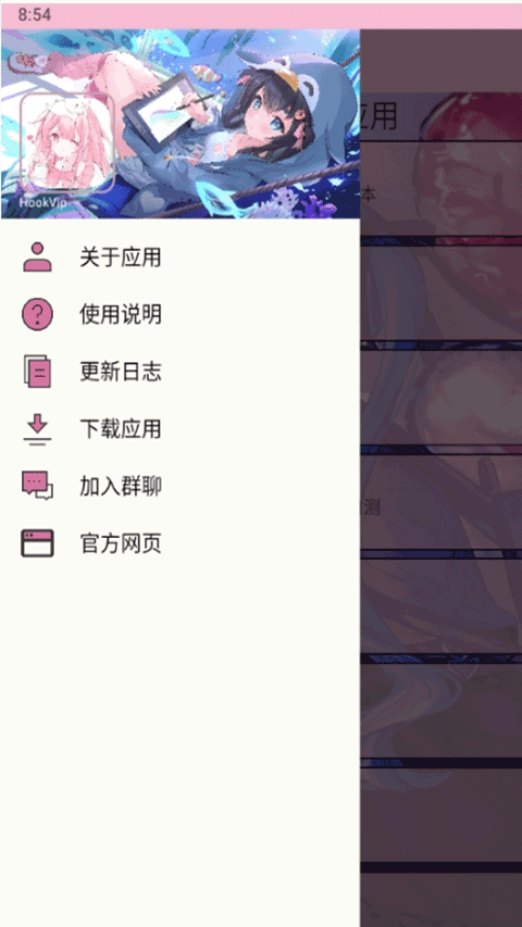 HookVip模块