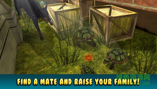 乌龟模拟器正式版 乌龟模拟器正式版