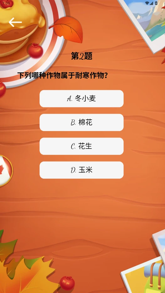 红番薯