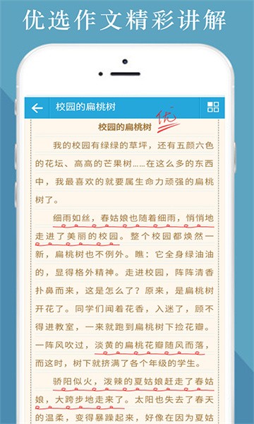 中小学满分作文集