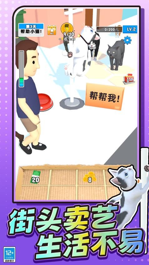 我是小猫猫