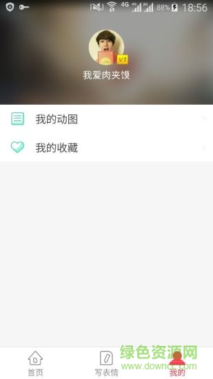动图表情