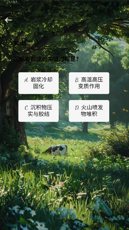 玮淼时光